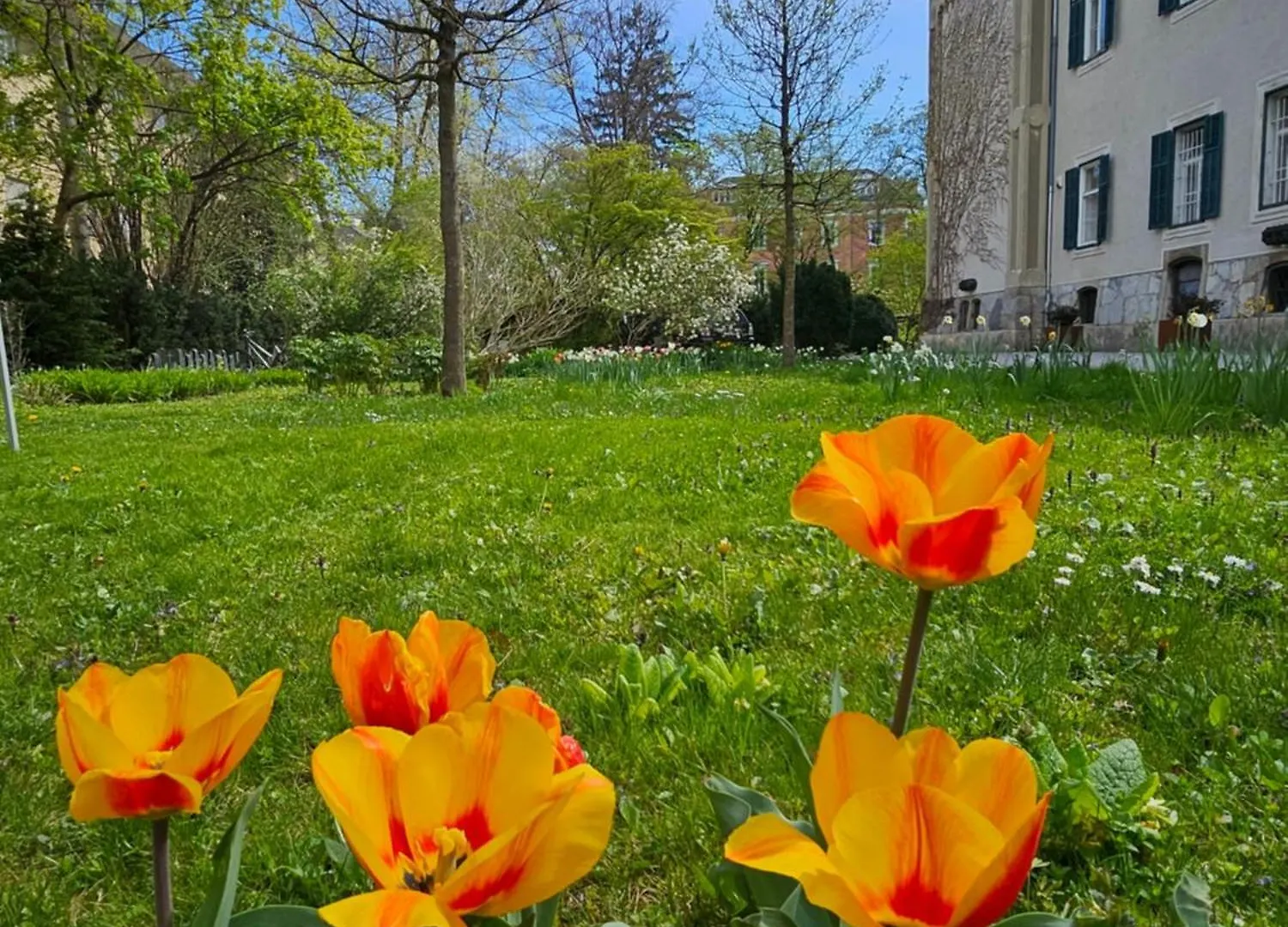 Apartment Yellow Flat By Grazrentals With Best Location & Free Parking Austria