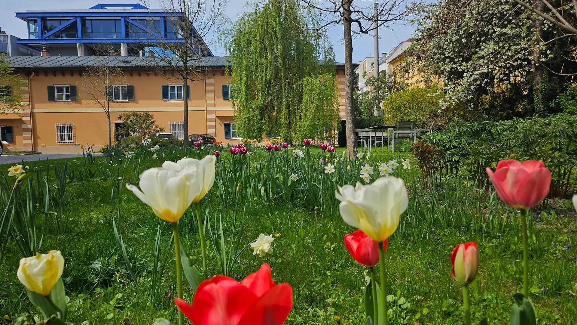 Yellow Flat By Grazrentals With Best Location & Free Parking Austria